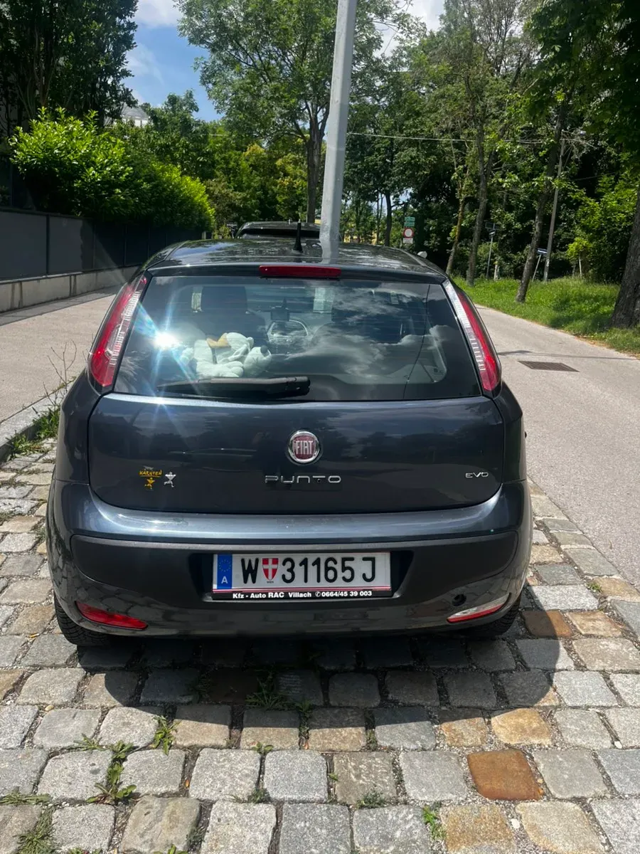 Fiat Punto 2011 photo 3
