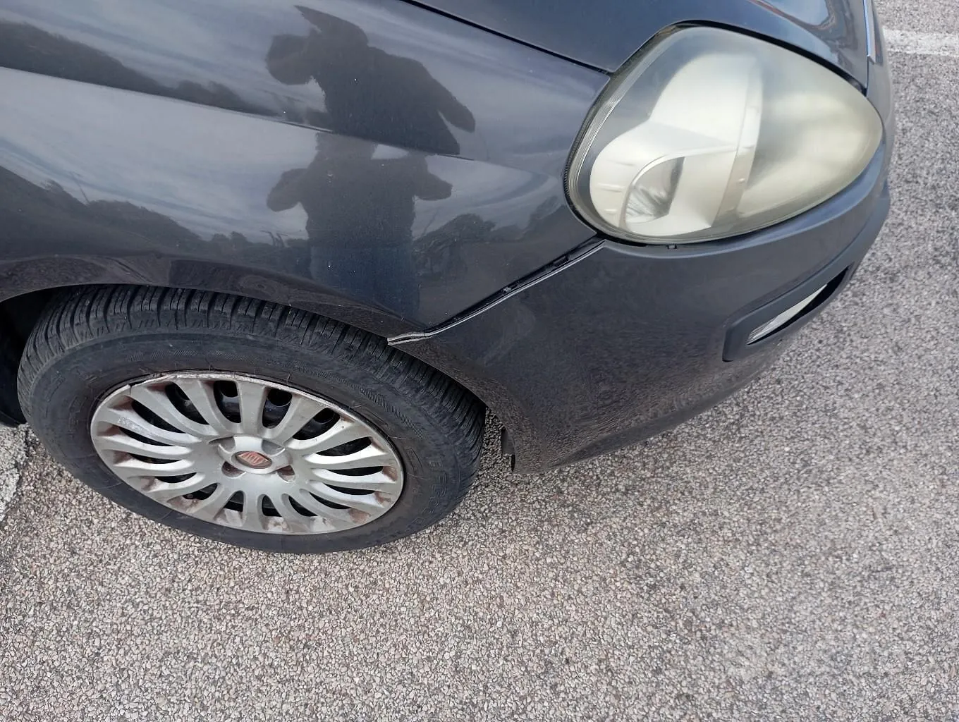 Fiat Punto Evo 2011 photo 3