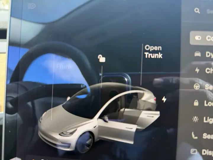 Tesla Model 3 2021 photo 2