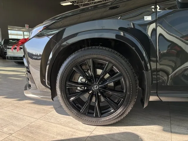 Lexus Nx 2024 photo 5