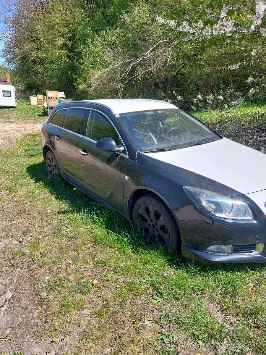 Opel Insignia 2009 photo 2