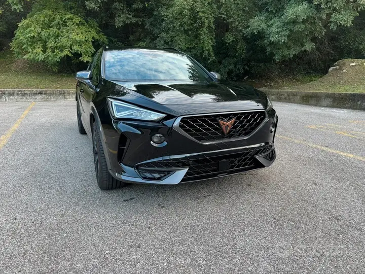 Cupra Formentor 2022 photo 4