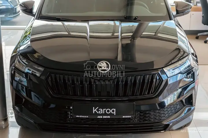 Skoda Karoq 2026 photo 4