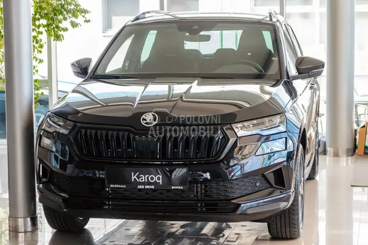 Skoda Karoq 2026 photo 2