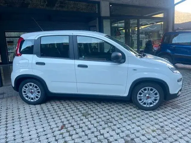 Fiat Panda 2024 photo 3