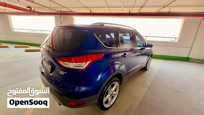 Ford Escape 2016 photo 3