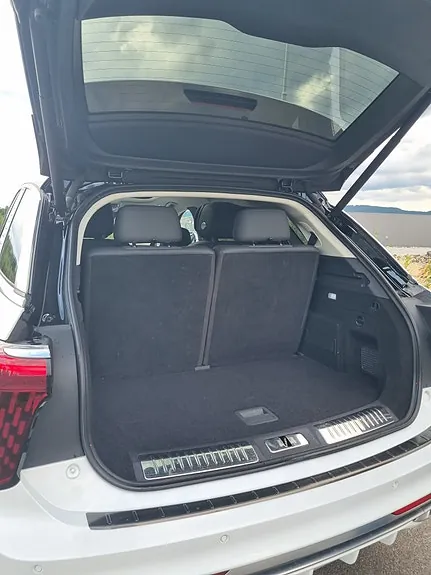 Hongqi E-Hs9 2022 photo 4