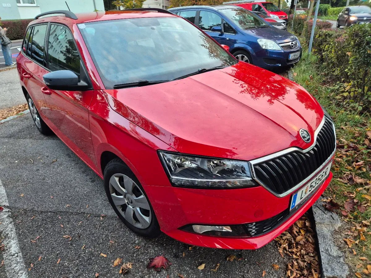 Skoda Fabia 2019 photo 3