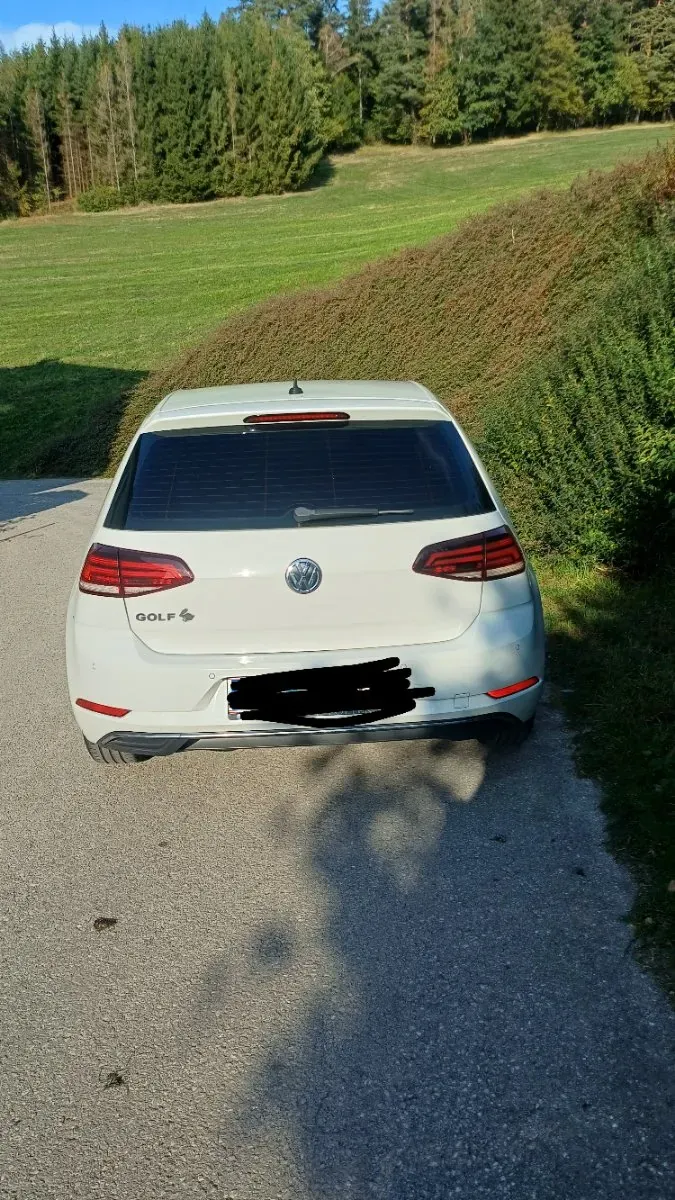 Volkswagen Golf 2019 photo 3