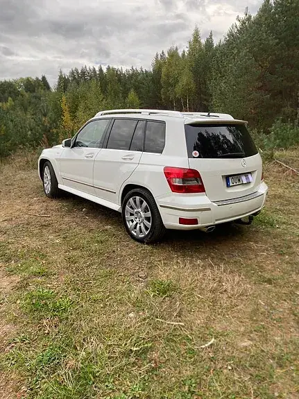 Mercedes-Benz Glk 220 2010 photo 2