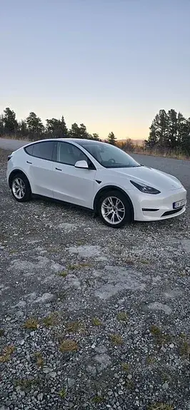 Tesla Model Y 2026 photo 5