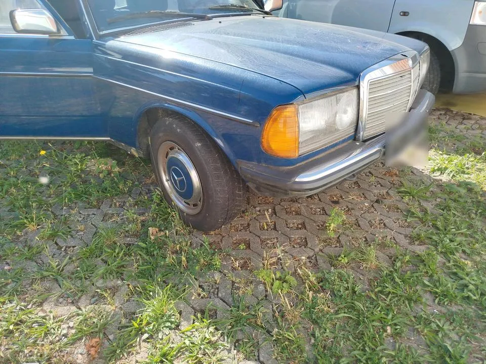 Mercedes-Benz W123
