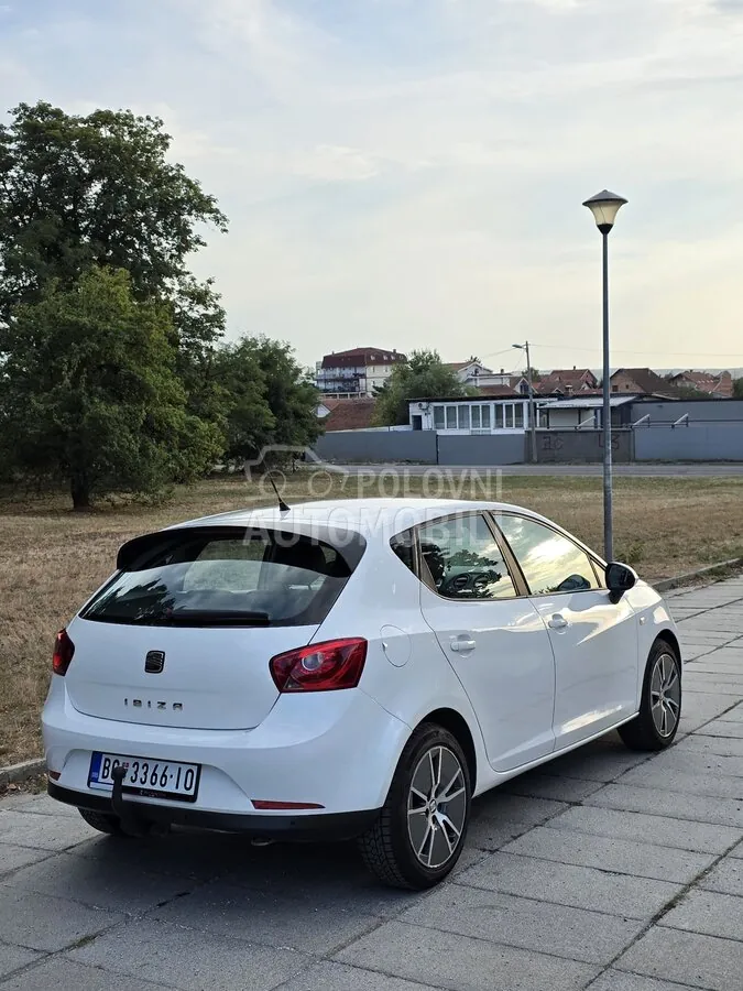 Seat Ibiza 2010 photo 4