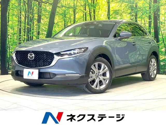 Mitsubishi Cx-30