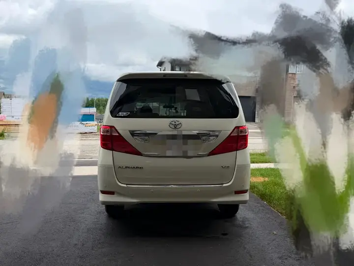 Toyota Alphard 2010 photo 2