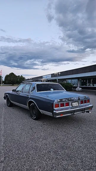 Chevrolet Caprice 1983 photo 5
