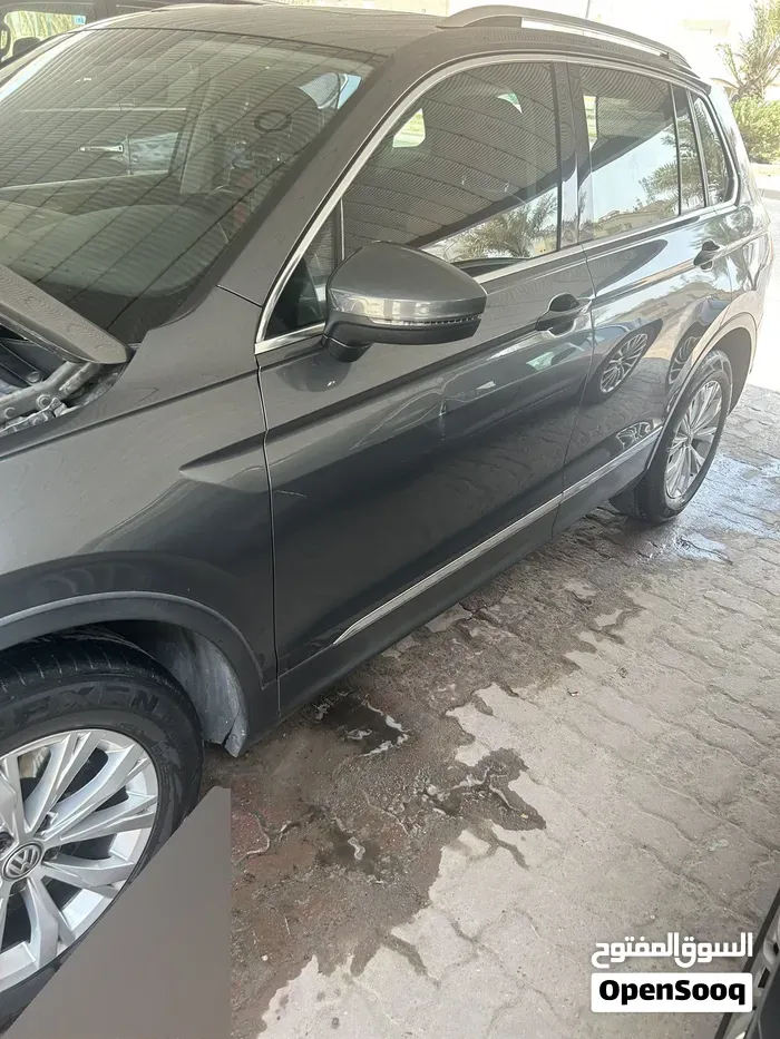Volkswagen Tiguan 2019 photo 3