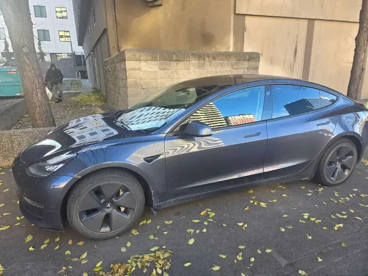 Tesla Model 3 2020 photo 4