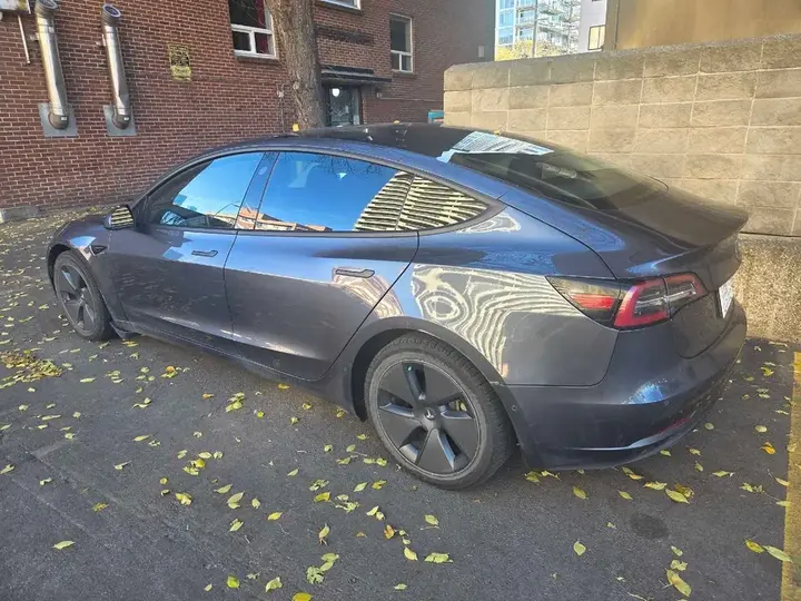 Tesla Model 3 2020 photo 3