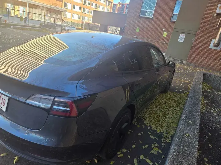 Tesla Model 3 2020 photo 2