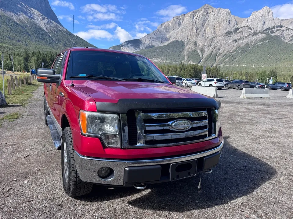 Ford F-150 2009 photo 3