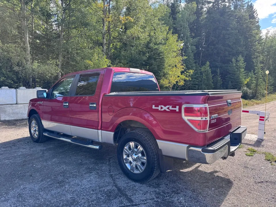 Ford F-150 2009 photo 2