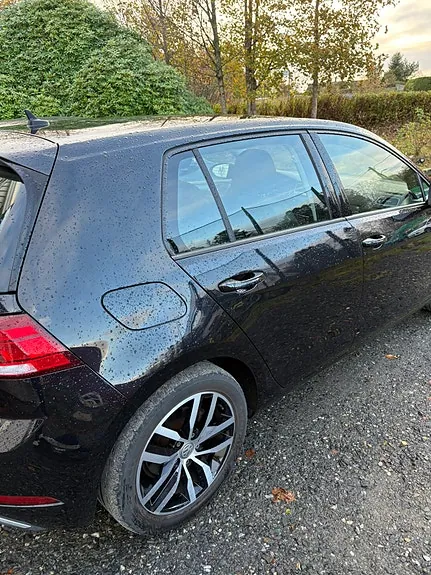 Volkswagen E-Golf Vii 2020 photo 5