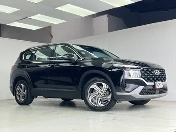 Hyundai Santa Fe 2021 photo 5