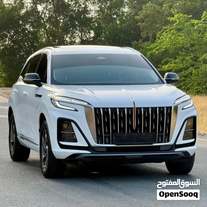 Hongqi Hs3