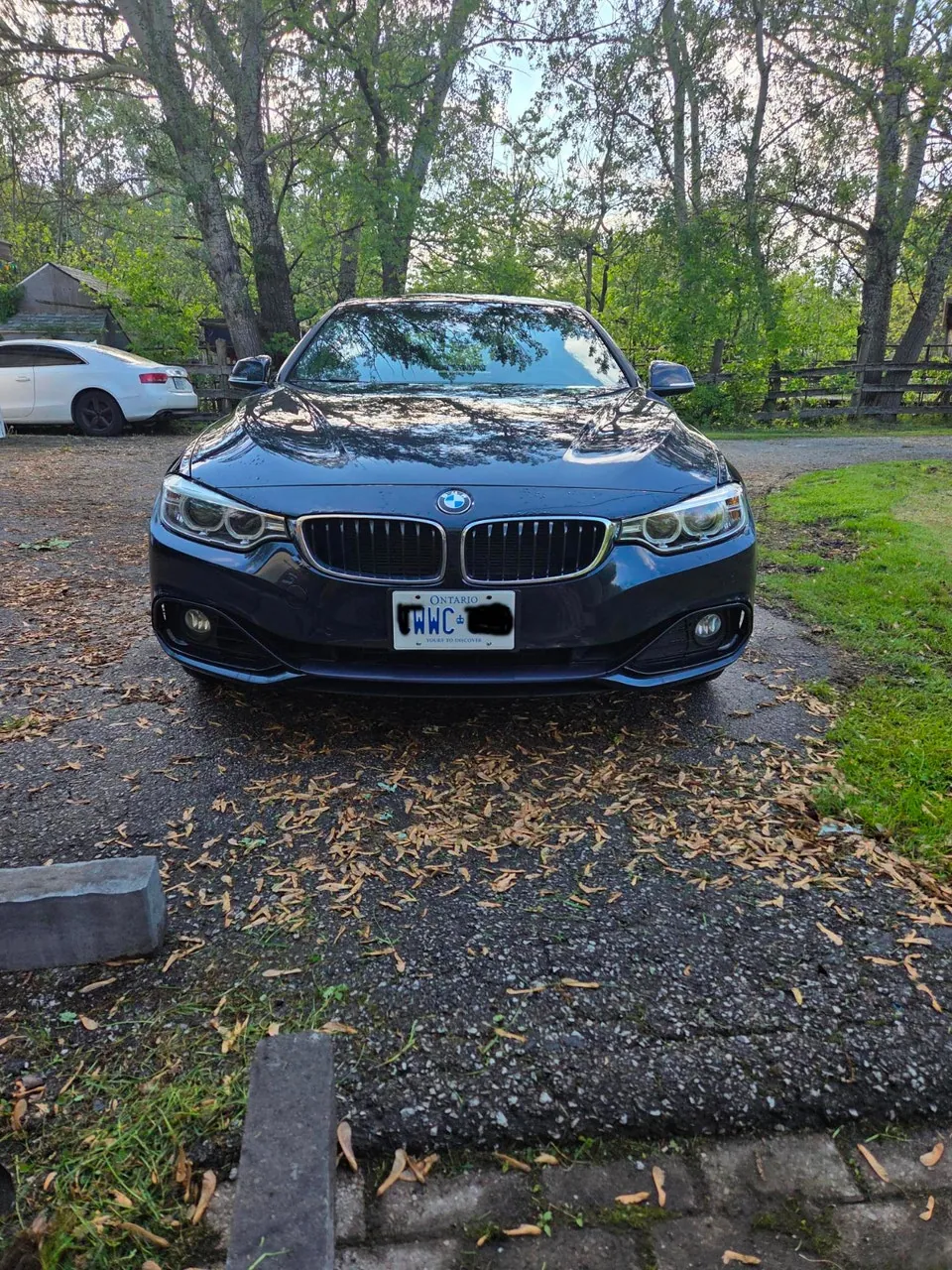 BMW 4 Series 2014 photo 4