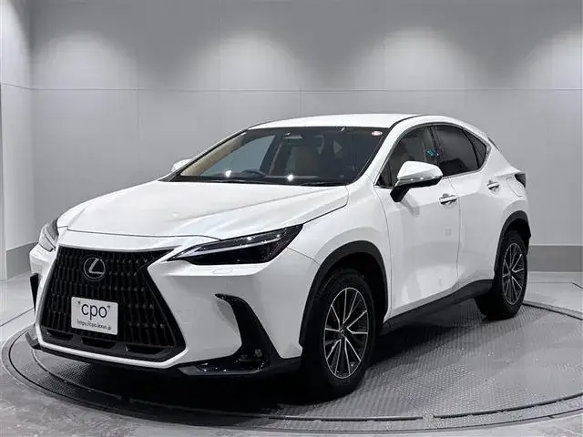 Lexus Nx250