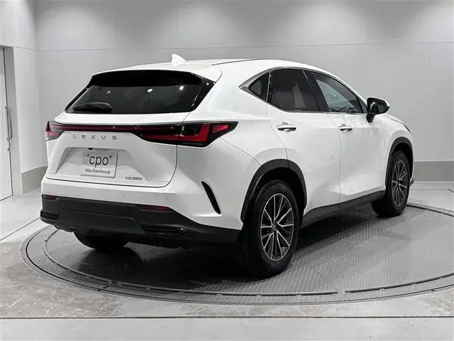Lexus Nx250 2023 photo 2