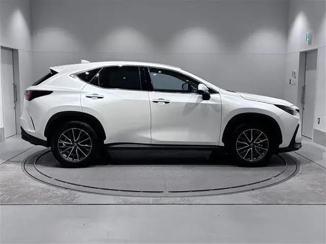 Lexus Nx250 2023 photo 4