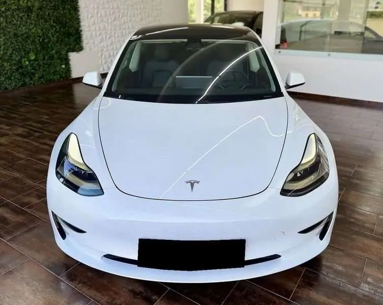 Tesla Model 3 2021 photo 2
