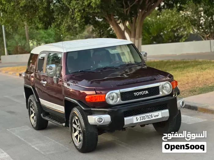 Toyota Fj 2008 photo 2