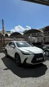 Lexus Nx 2023 photo 5