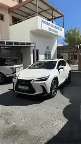 Lexus Nx 2023 photo 4