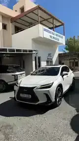 Lexus Nx 2023 photo 2