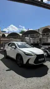 Lexus Nx 2023 photo 3