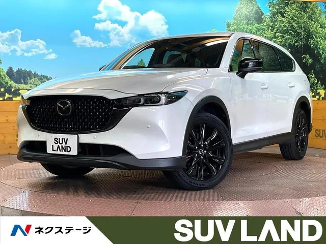 Mitsubishi Cx-8 25S Black Tone Edition