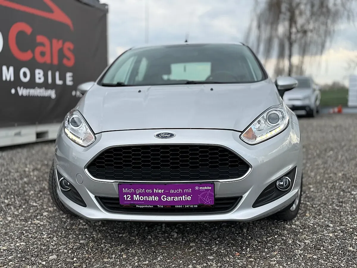 Ford Fiesta 2017 photo 2