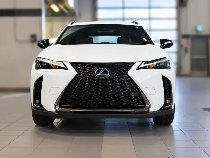 Lexus Ux 250H 2022 photo 5