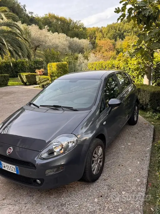 Fiat Punto