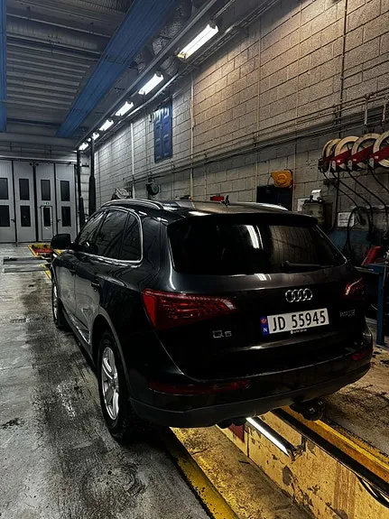 Audi Q5 2010 photo 3