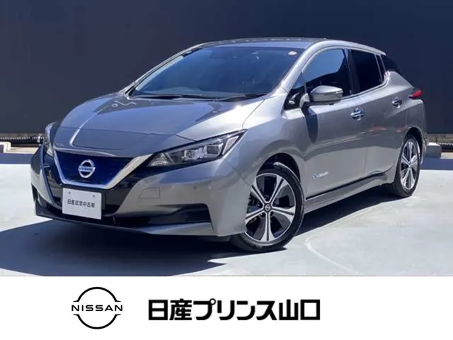 Nissan Leaf 2020 photo 2