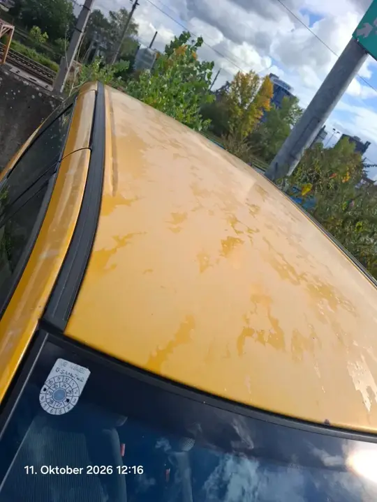 Citroen C8