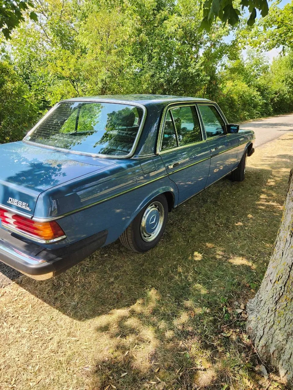 Mercedes-Benz 300D 1977 photo 4