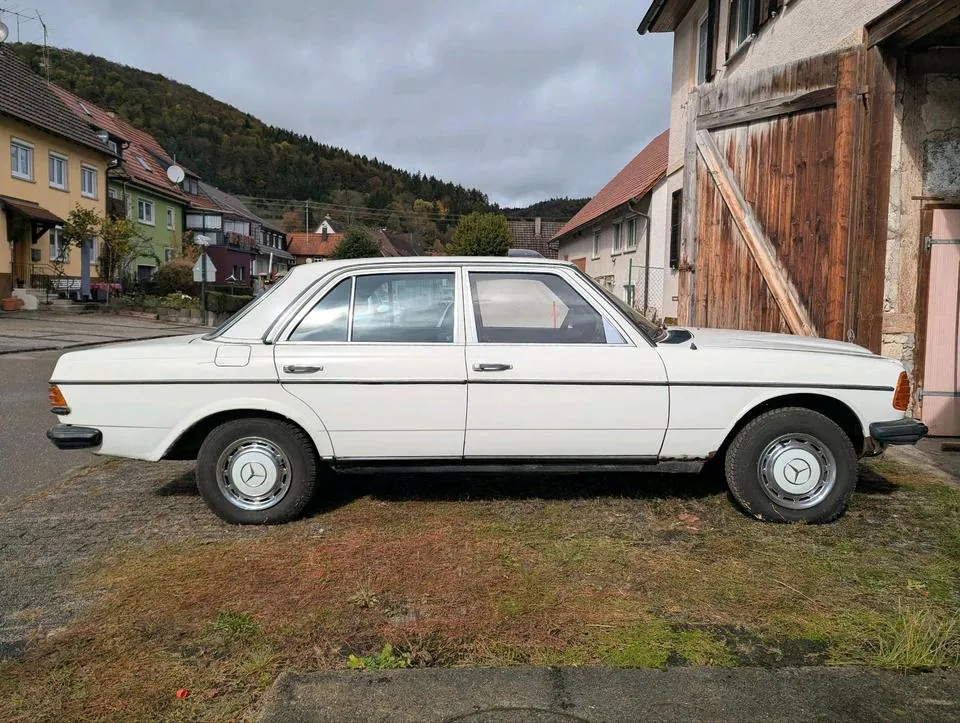 Mercedes-Benz W123