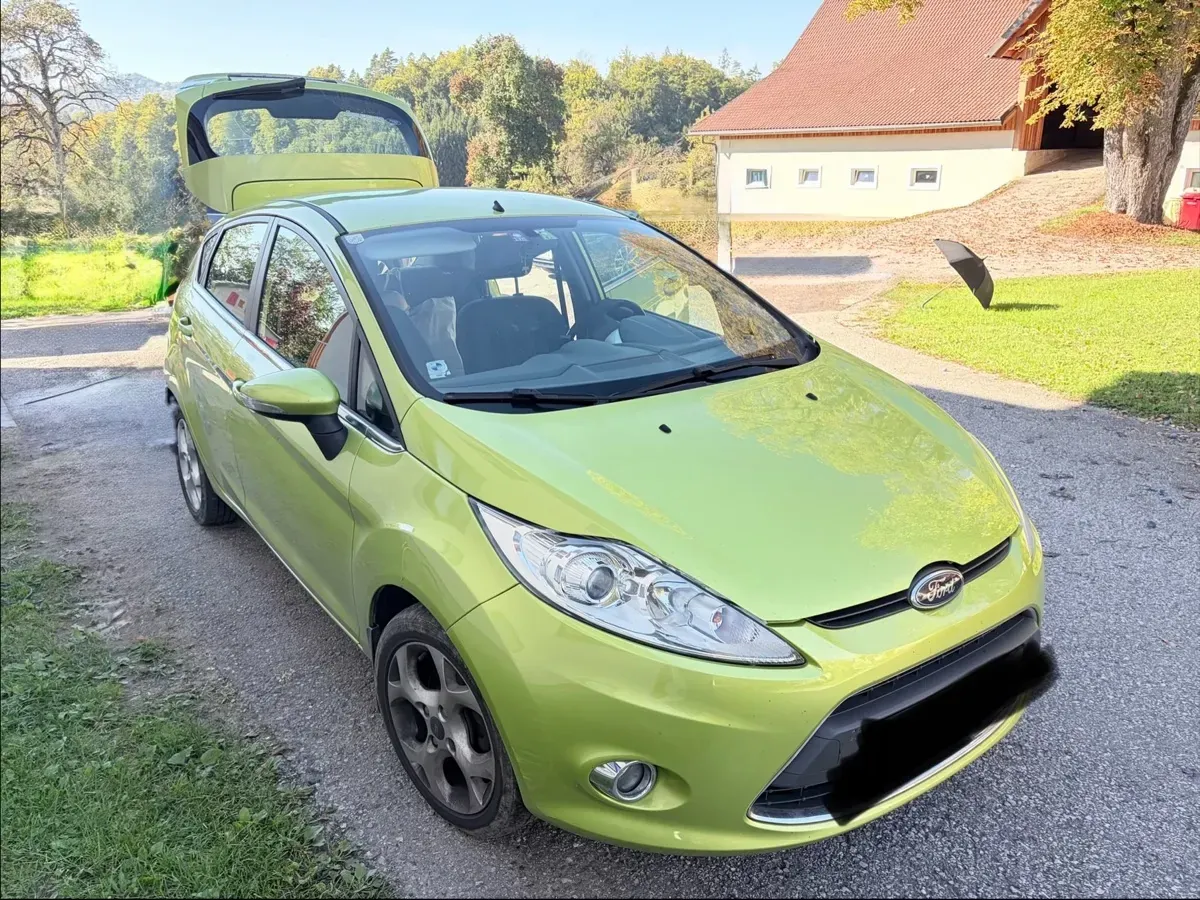 Ford Fiesta 2009 photo 2