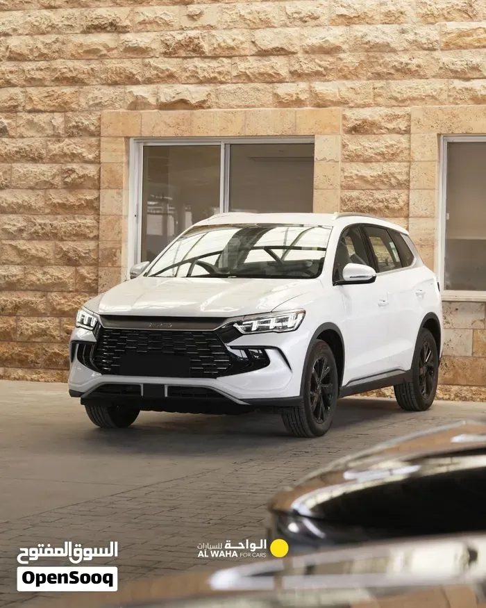 BYD Sealion 2026 photo 3